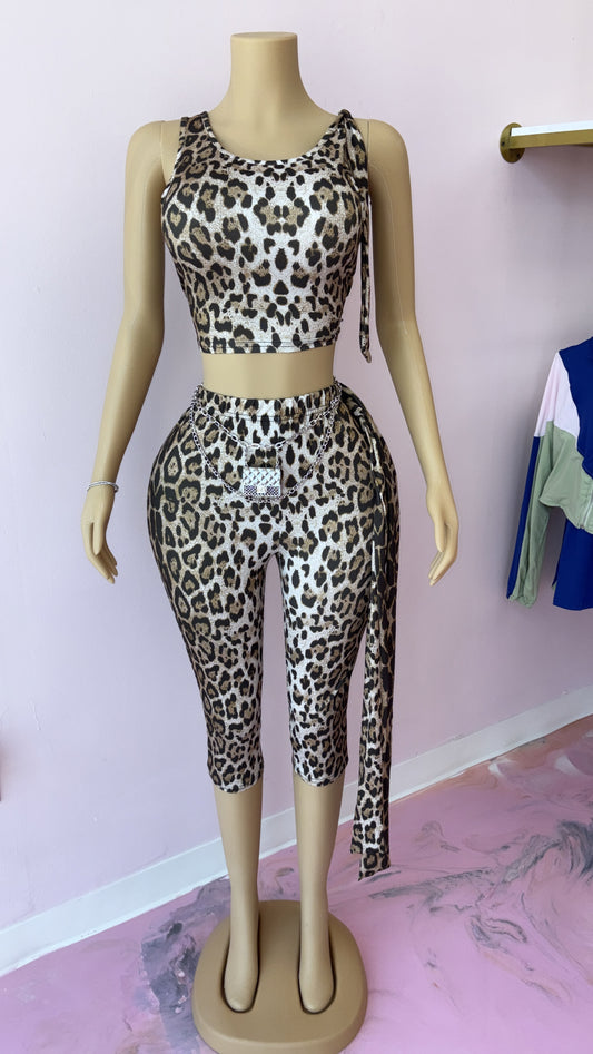Classy Cheetah Capi